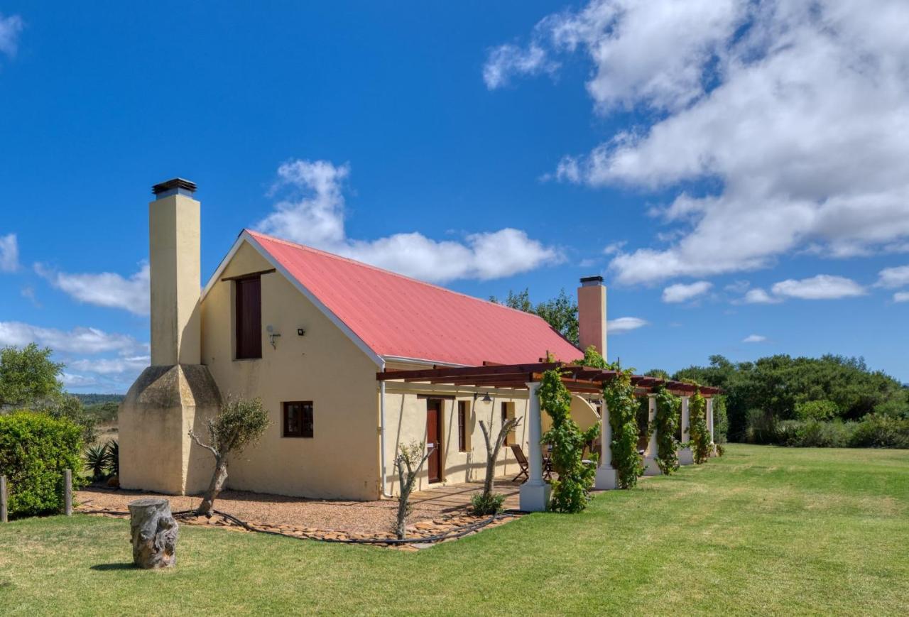 Strandveld Vineyards Cottages Elim  Ngoại thất bức ảnh