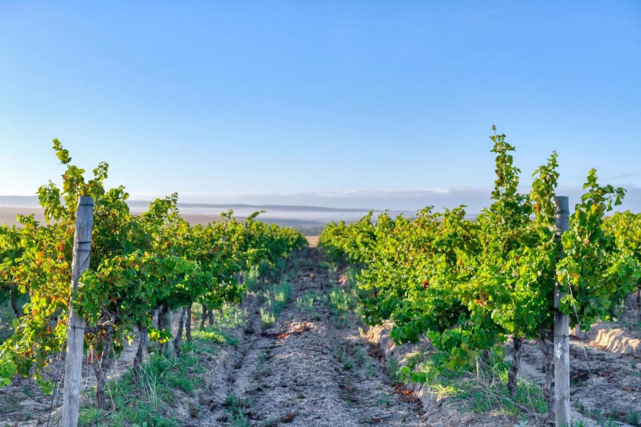 Strandveld Vineyards Cottages Elim  Ngoại thất bức ảnh