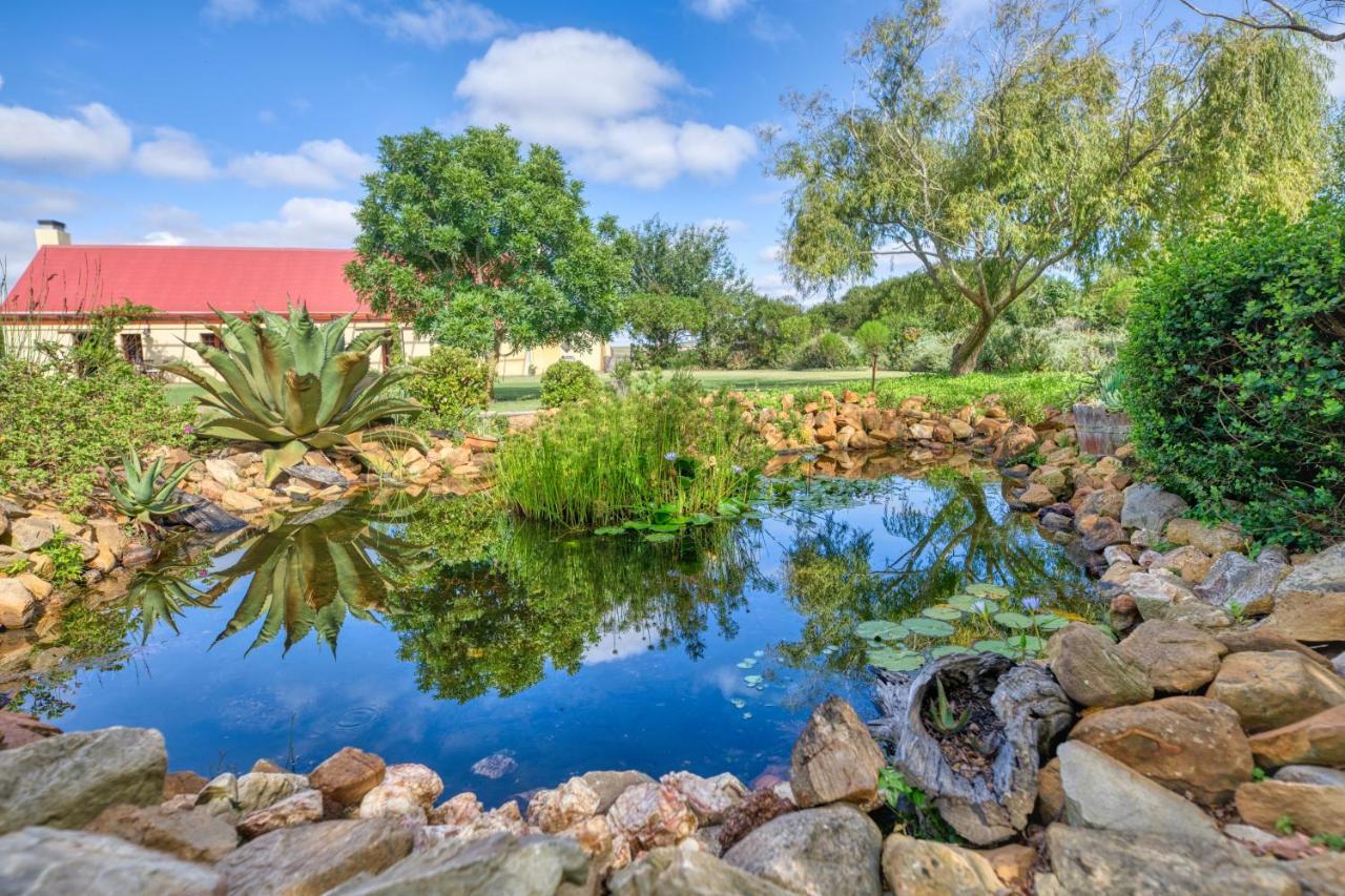 Strandveld Vineyards Cottages Elim  Ngoại thất bức ảnh